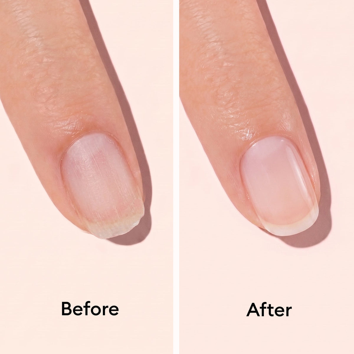 Day & Night Duo
