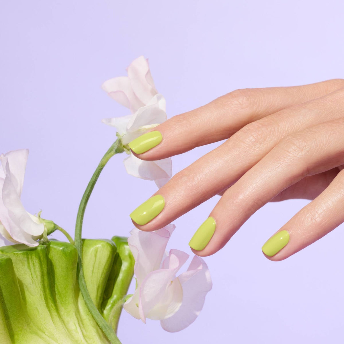 Lime